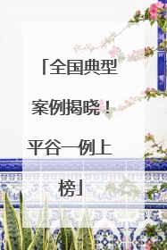 全国典型案例揭晓！平谷一例上榜