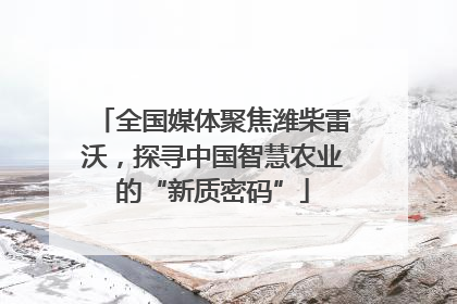 全国媒体聚焦潍柴雷沃，探寻中国智慧农业的“新质密码”