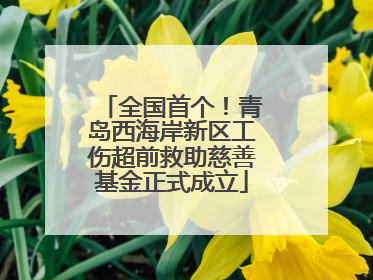 全国首个！青岛西海岸新区工伤超前救助慈善基金正式成立