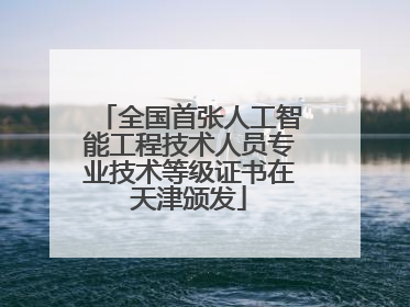 全国首张人工智能工程技术人员专业技术等级证书在天津颁发