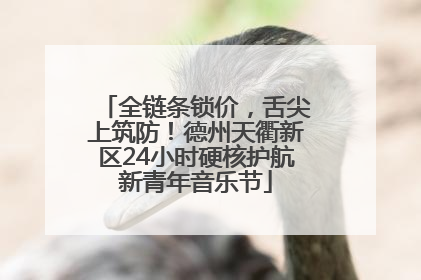 全链条锁价，舌尖上筑防！德州天衢新区24小时硬核护航新青年音乐节