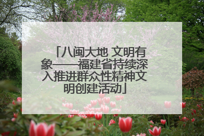 八闽大地 文明有象——福建省持续深入推进群众性精神文明创建活动
