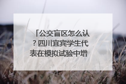 公交盲区怎么认？四川宜宾学生代表在模拟试验中增强乘车安全意识