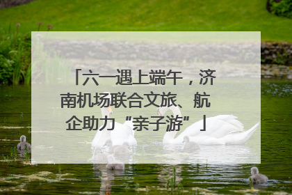 六一遇上端午，济南机场联合文旅、航企助力“亲子游”