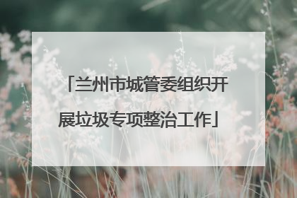 兰州市城管委组织开展垃圾专项整治工作