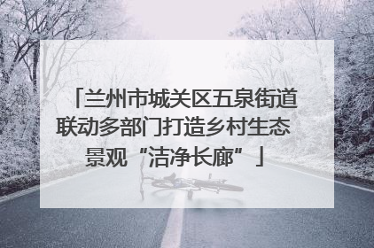 兰州市城关区五泉街道联动多部门打造乡村生态景观“洁净长廊”