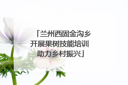 兰州西固金沟乡开展果树技能培训 助力乡村振兴