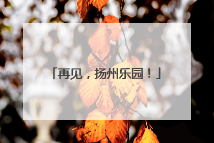 再见，扬州乐园！