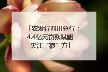 农发行四川分行：4.4亿元贷款赋能夹江“粮”方