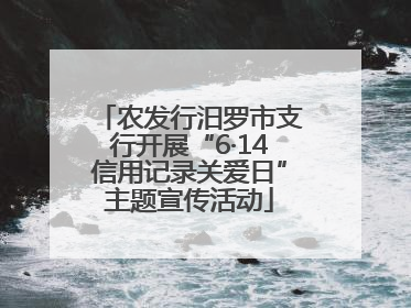 农发行汨罗市支行开展“6·14信用记录关爱日”主题宣传活动