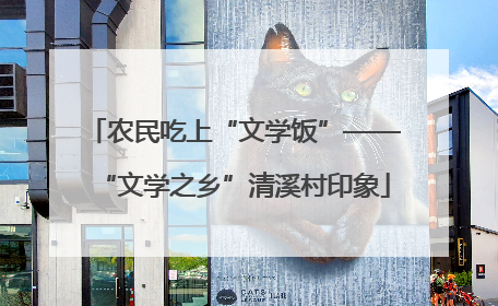 农民吃上“文学饭”——“文学之乡”清溪村印象
