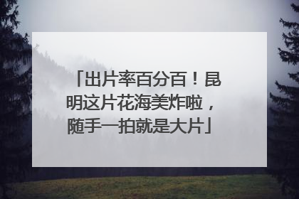 出片率百分百！昆明这片花海美炸啦，随手一拍就是大片
