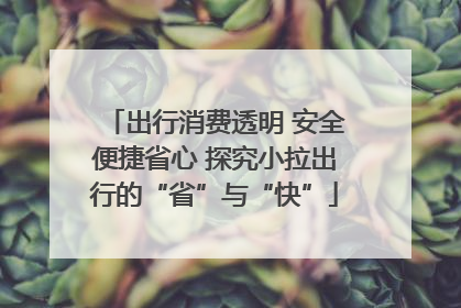 出行消费透明 安全便捷省心 探究小拉出行的“省”与“快”