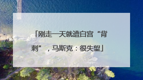 刚走一天就遭白宫“背刺”，马斯克：很失望