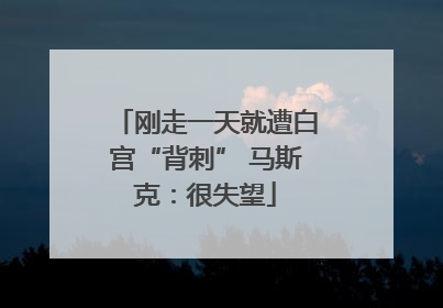 刚走一天就遭白宫“背刺” 马斯克：很失望