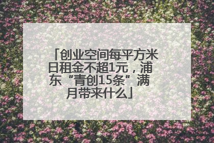 创业空间每平方米日租金不超1元，浦东“青创15条”满月带来什么