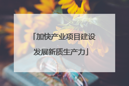 加快产业项目建设 发展新质生产力