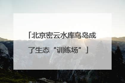 北京密云水库鸟岛成了生态“训练场”