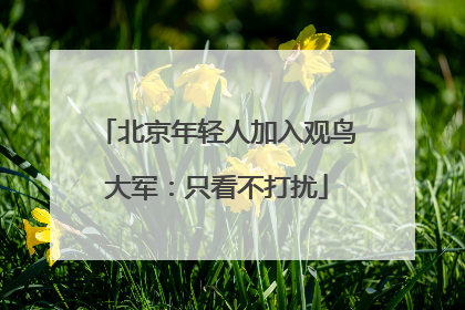 北京年轻人加入观鸟大军：只看不打扰