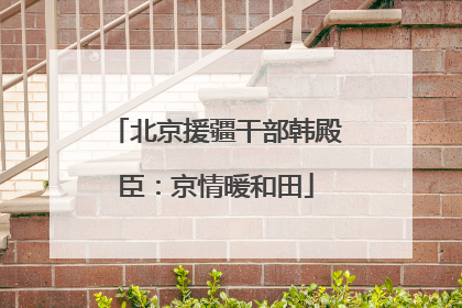 北京援疆干部韩殿臣：京情暖和田