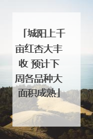 城阳上千亩红杏大丰收 预计下周各品种大面积成熟