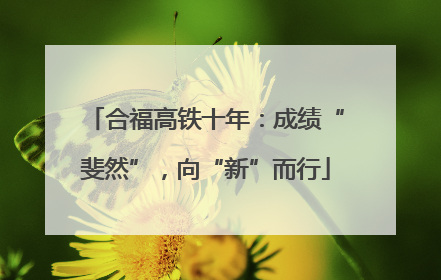 合福高铁十年：成绩“斐然”，向“新”而行
