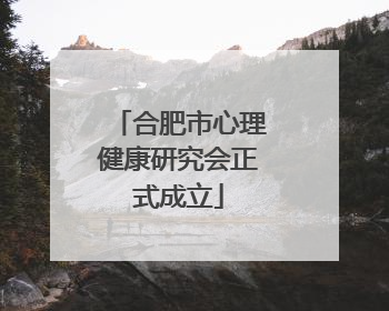 合肥市心理健康研究会正式成立