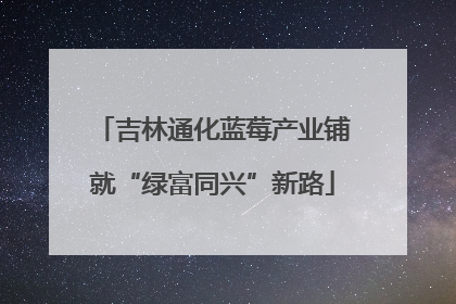 吉林通化蓝莓产业铺就“绿富同兴”新路