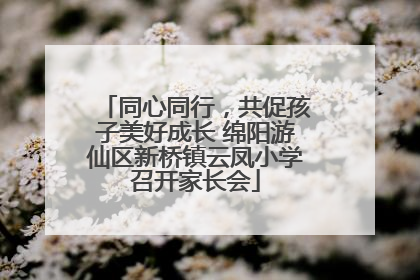 同心同行，共促孩子美好成长 绵阳游仙区新桥镇云凤小学召开家长会