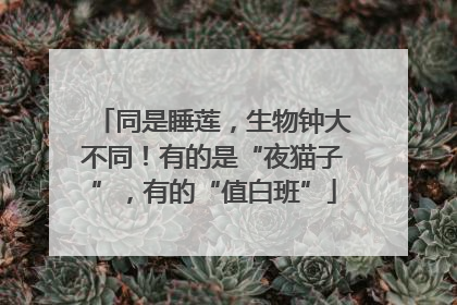 同是睡莲，生物钟大不同！有的是“夜猫子”，有的“值白班”