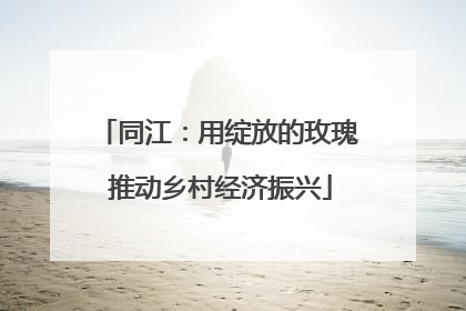 同江：用绽放的玫瑰 推动乡村经济振兴