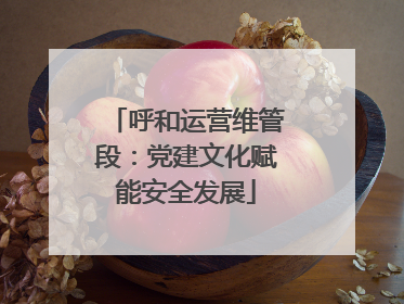 呼和运营维管段：党建文化赋能安全发展