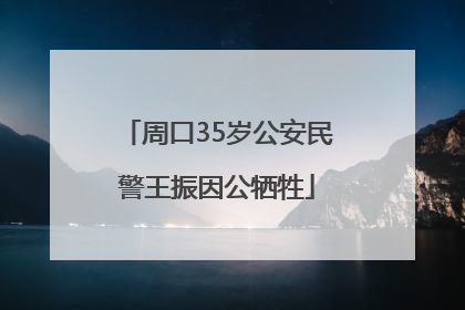 周口35岁公安民警王振因公牺牲