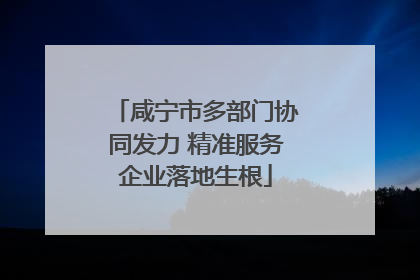 咸宁市多部门协同发力 精准服务企业落地生根