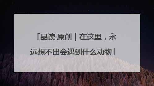 品读·原创｜在这里，永远想不出会遇到什么动物