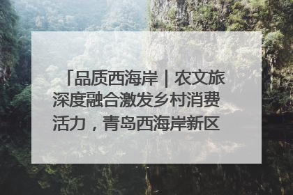 品质西海岸｜农文旅深度融合激发乡村消费活力，青岛西海岸新区的乡村振兴实践