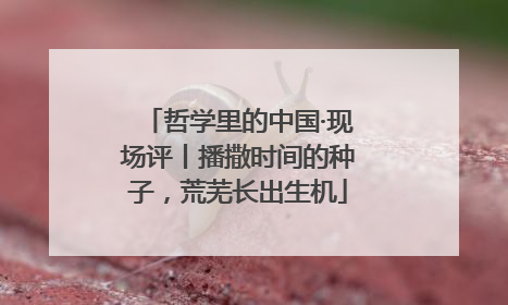 哲学里的中国·现场评丨播撒时间的种子，荒芜长出生机