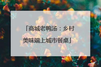 商城老鸭汤：乡村美味端上城市餐桌