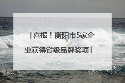 喜报！衡阳市5家企业获得省级品牌奖项