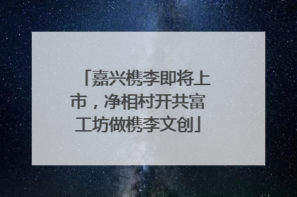 嘉兴槜李即将上市，净相村开共富工坊做槜李文创