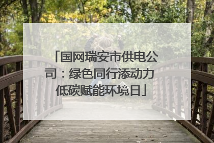 国网瑞安市供电公司：绿色同行添动力 低碳赋能环境日