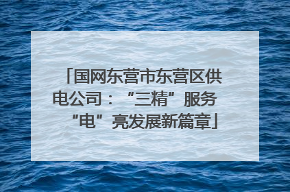 国网东营市东营区供电公司：“三精”服务“电”亮发展新篇章