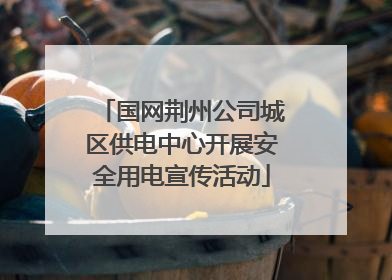 国网荆州公司城区供电中心开展安全用电宣传活动