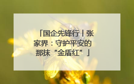 国企先锋行丨张家界：守护平安的那抹“金盾红”