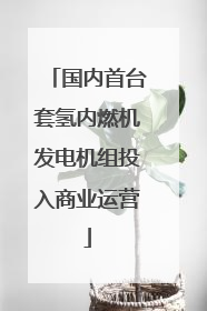 国内首台套氢内燃机发电机组投入商业运营