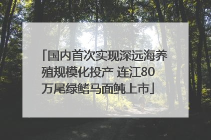 国内首次实现深远海养殖规模化投产 连江80万尾绿鳍马面鲀上市