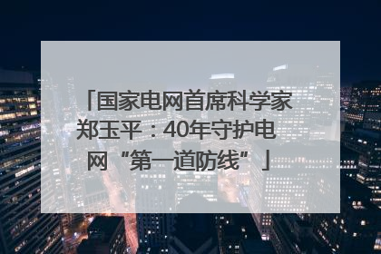 国家电网首席科学家郑玉平：40年守护电网“第一道防线”