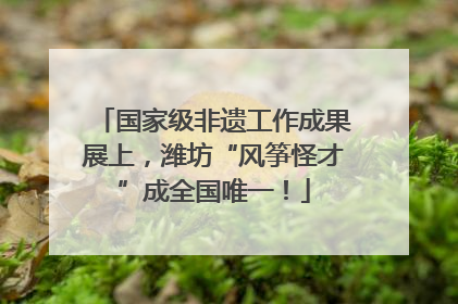 国家级非遗工作成果展上，潍坊“风筝怪才”成全国唯一！