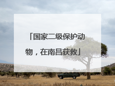 国家二级保护动物，在南昌获救