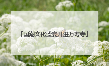 国潮文化盛宴开进万寿寺